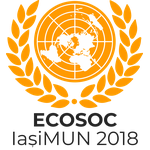 Economic and Social Council (ECOSOC)