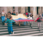 Movimiento de la 7ma Papeleta.