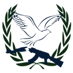 Disarmament and International Security Committee