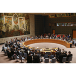 Security Council