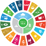 United Nations Environment Assembly
