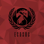 Economic and Social Council (ECOSOC)
