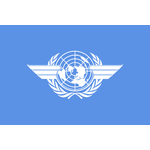 International Civil Aviation Organization (ICAO)