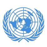 Economic and Social Council (ECOSOC)