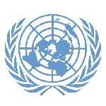 United Nations Economic and Social Council