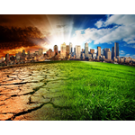 United Nations Environment Assembly