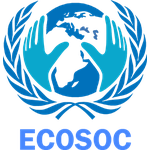 Economic and Social Council (ECOSOC)
