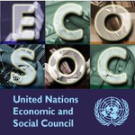 Economic and Social Council