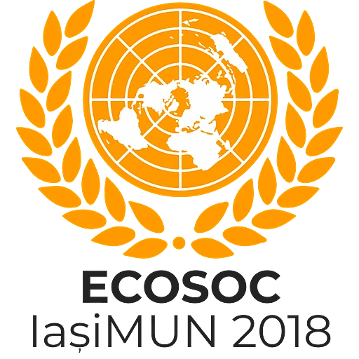 Economic and Social Council (ECOSOC)