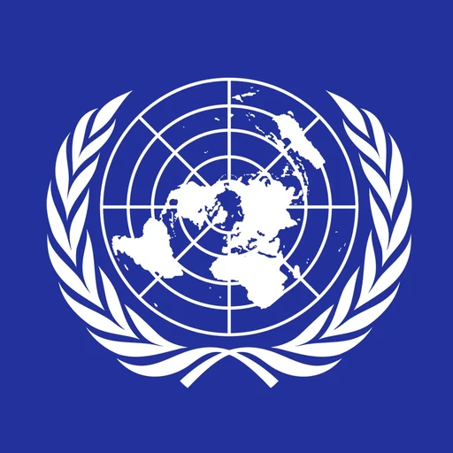 Future Security Council