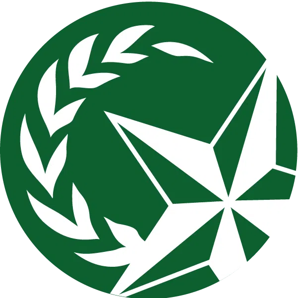 DLSMUN 2022