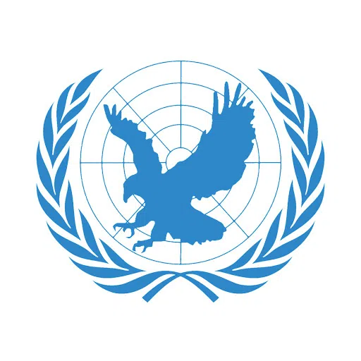 Bcmun Conference