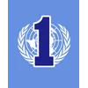 Your First Model United Nations