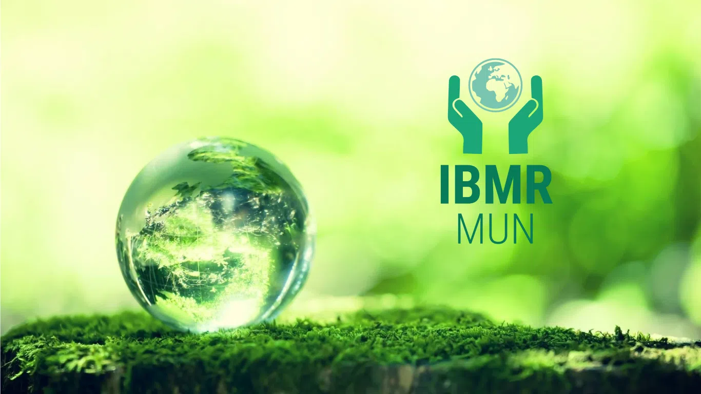 IBMR MUN 2018