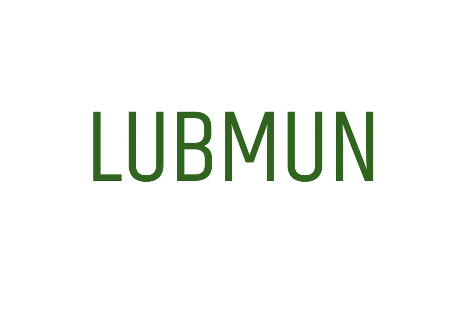 LubMUN 2024