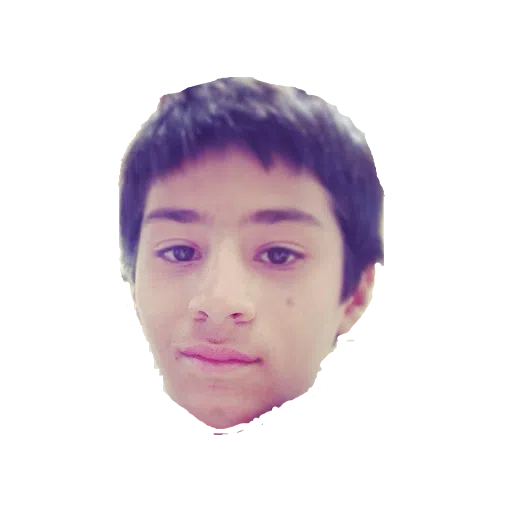Raman Narula