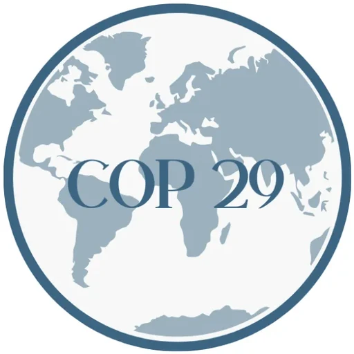 COP 29