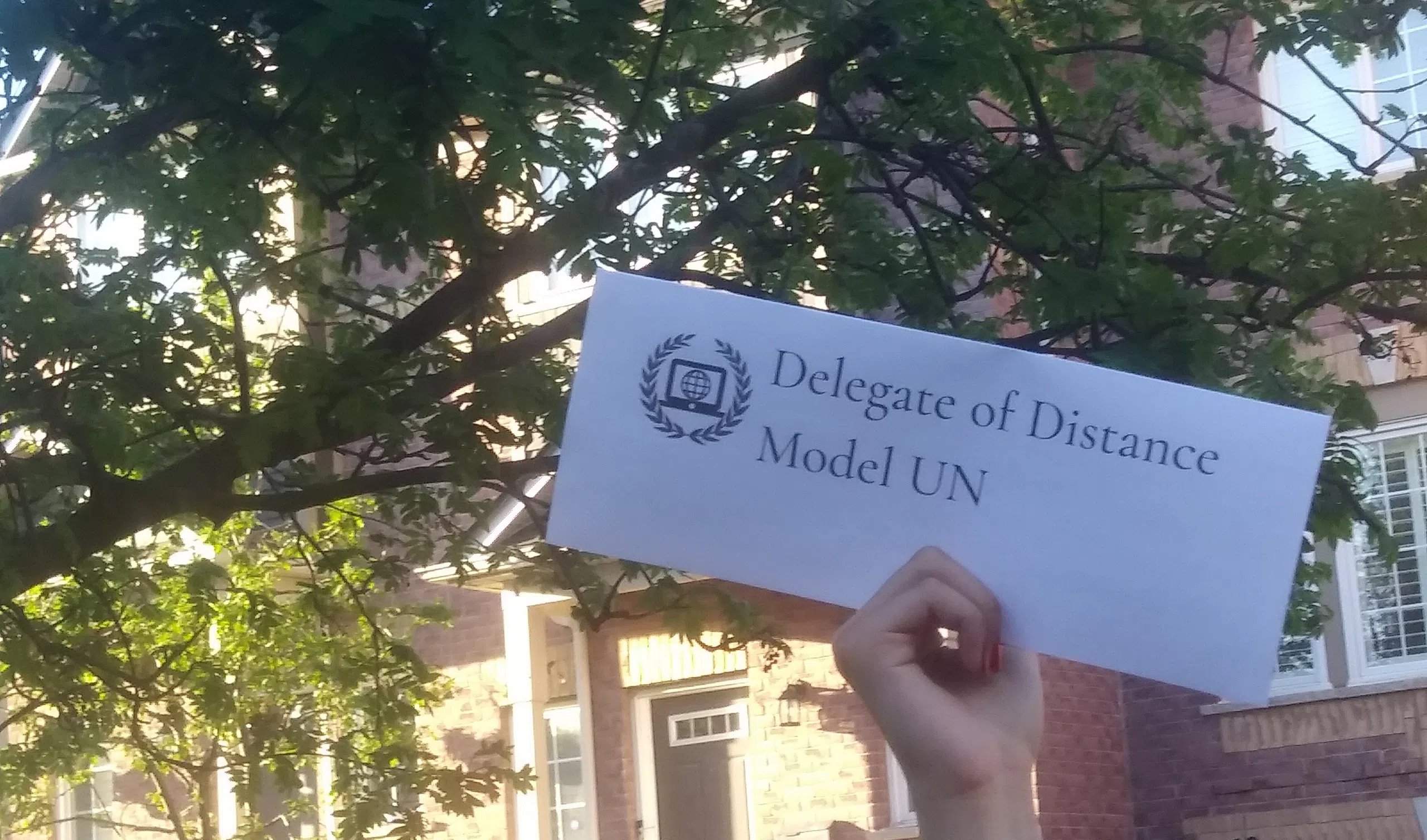 DMUN 2020