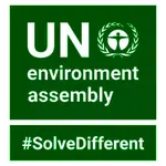 United Nations Environment Assembly (UNEA) (Beginner)