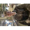 Olly Edwards-GrindellProfile Picture