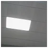Marcus YoungProfile Picture