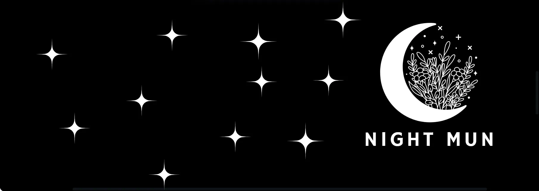 NightMUN 2025