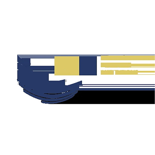 MEI Simulation 2022Logo