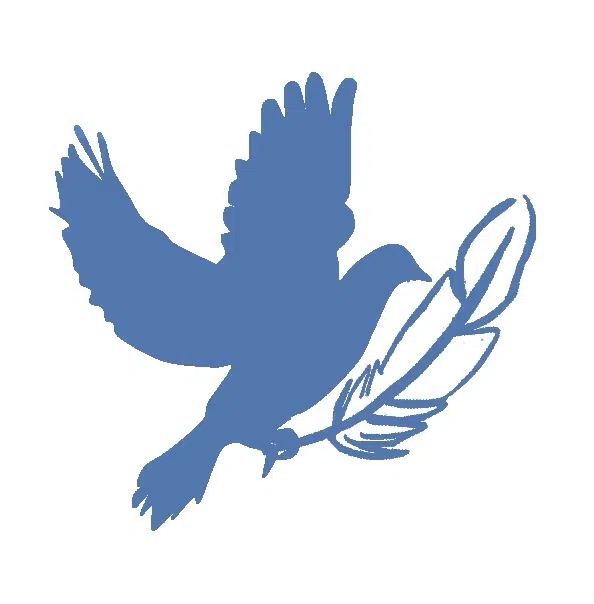 UniFerMUN 2015