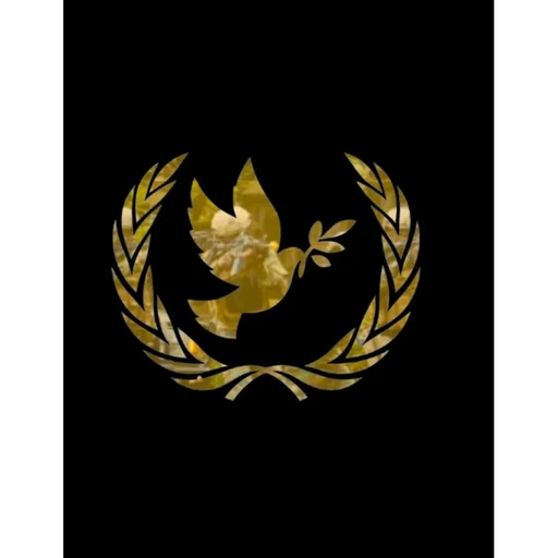 UNSC-2