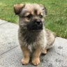 Fuhe LiuProfile Picture