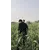 Bilal SultanProfile Picture