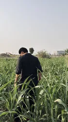 Bilal Sultan