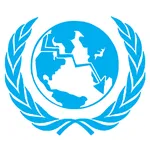 United Nations Committee for Financial Crisis 