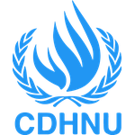 Consejo de Derechos Humanos de las Naciones Unidas