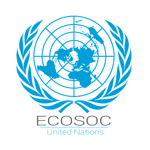 Economic and Social Council (ECOSOC)