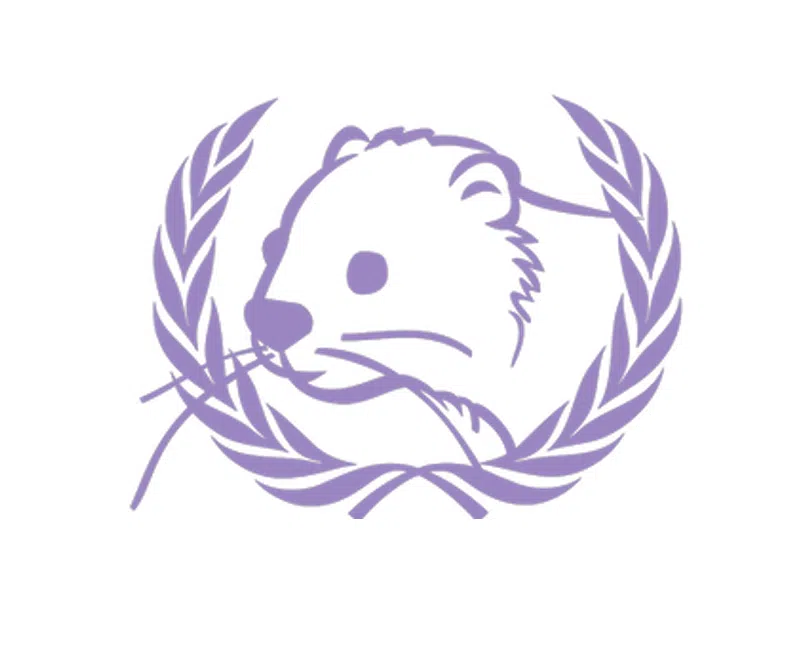Conference Logo