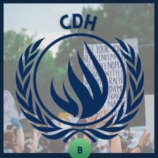 Consejo de Derechos Humanos