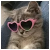 Taraj BhattProfile Picture