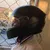 arpit ashish agrawalProfile Picture