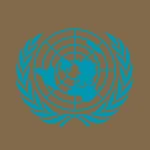 Security Council