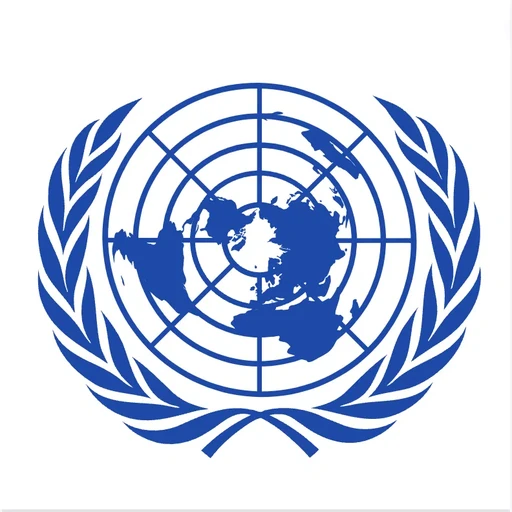 United Nations Security Council (UNSC)