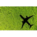 International Civil Aviation Organization (ICAO)