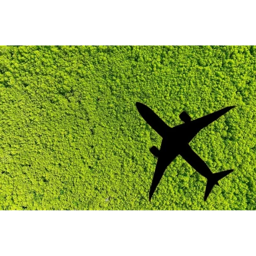 International Civil Aviation Organization (ICAO)