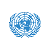 Crisis Model United Nations