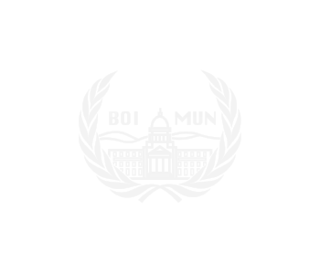 BOIMUN 2019