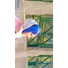 Afsah BuraaqProfile Picture