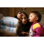 SDG 2: FAO