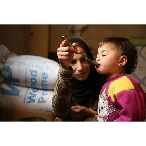 SDG 2: FAO