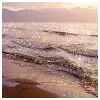 Aaleyah HasanProfile Picture