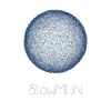 Slow Model United Nations